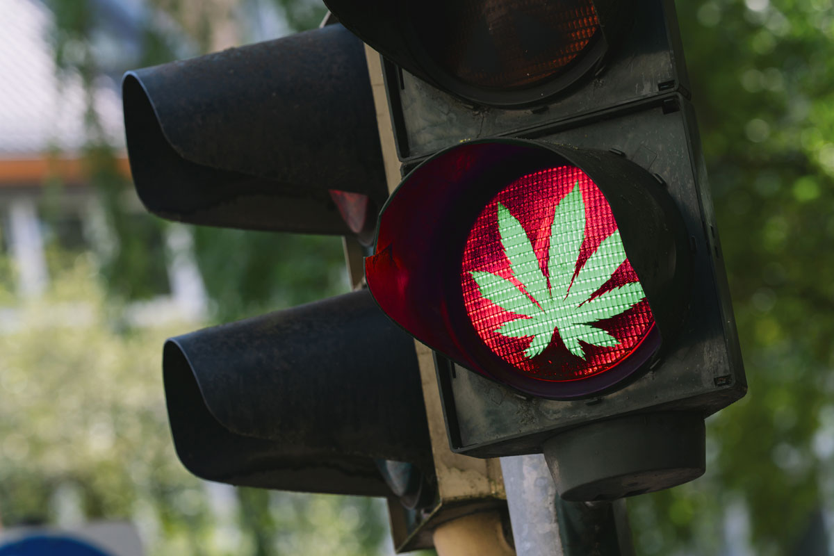 Marijuana leaf on a red light
